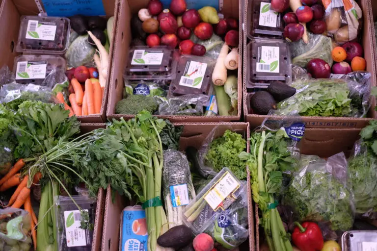 Landfill or Lifeline? The Choice for Surplus Food in 2025 Should Be Obvious